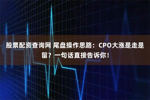 股票配资查询网 尾盘操作思路：CPO大涨是走是留？一句话直接告诉你！