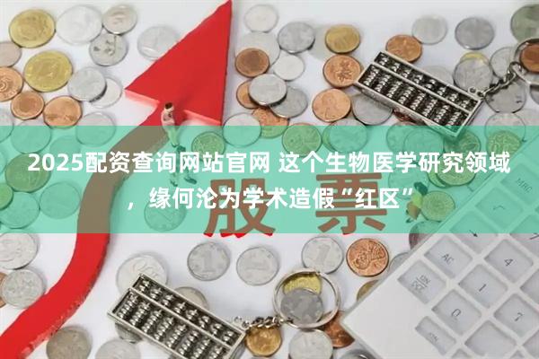 2025配资查询网站官网 这个生物医学研究领域，缘何沦为学术造假“红区”